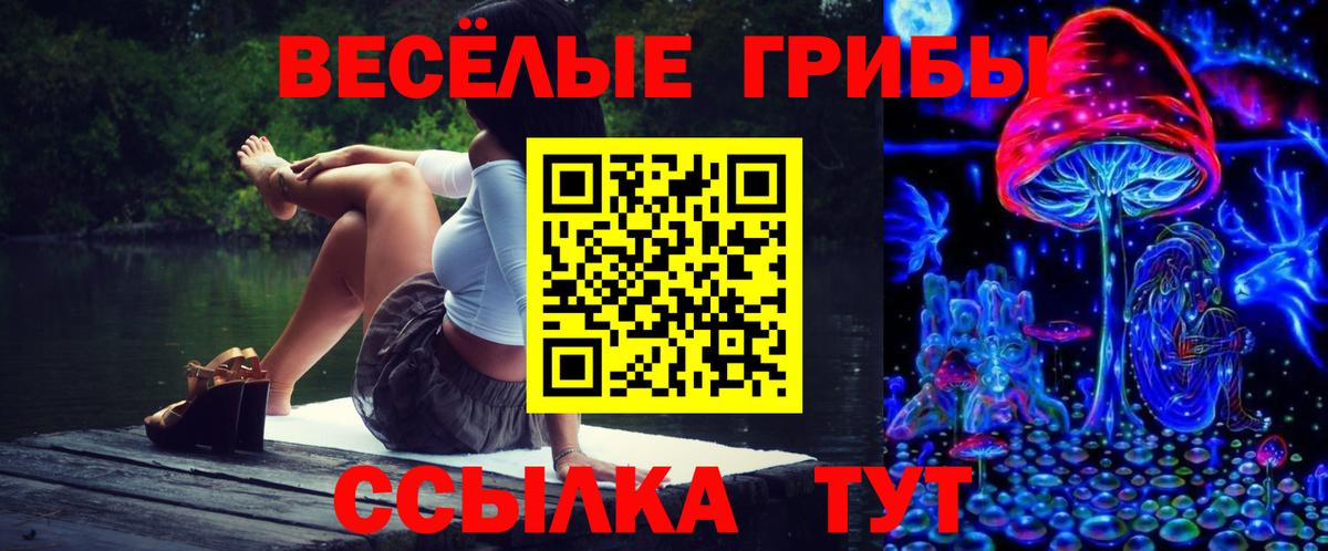 Кубинка  цены   Вход с VPN  Псилоцибиновые грибы Magic Shrooms 